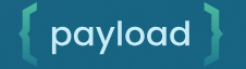 payload-logo-bg11